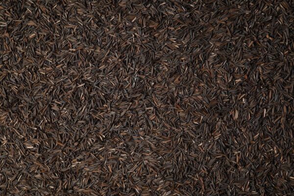 Casca de arroz carbonizada