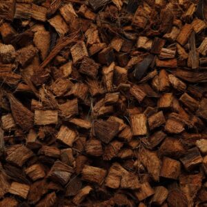 Chips 1x1