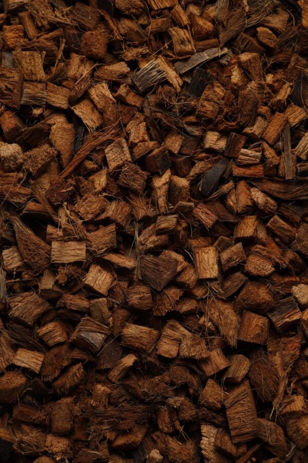 Chips 1x1
